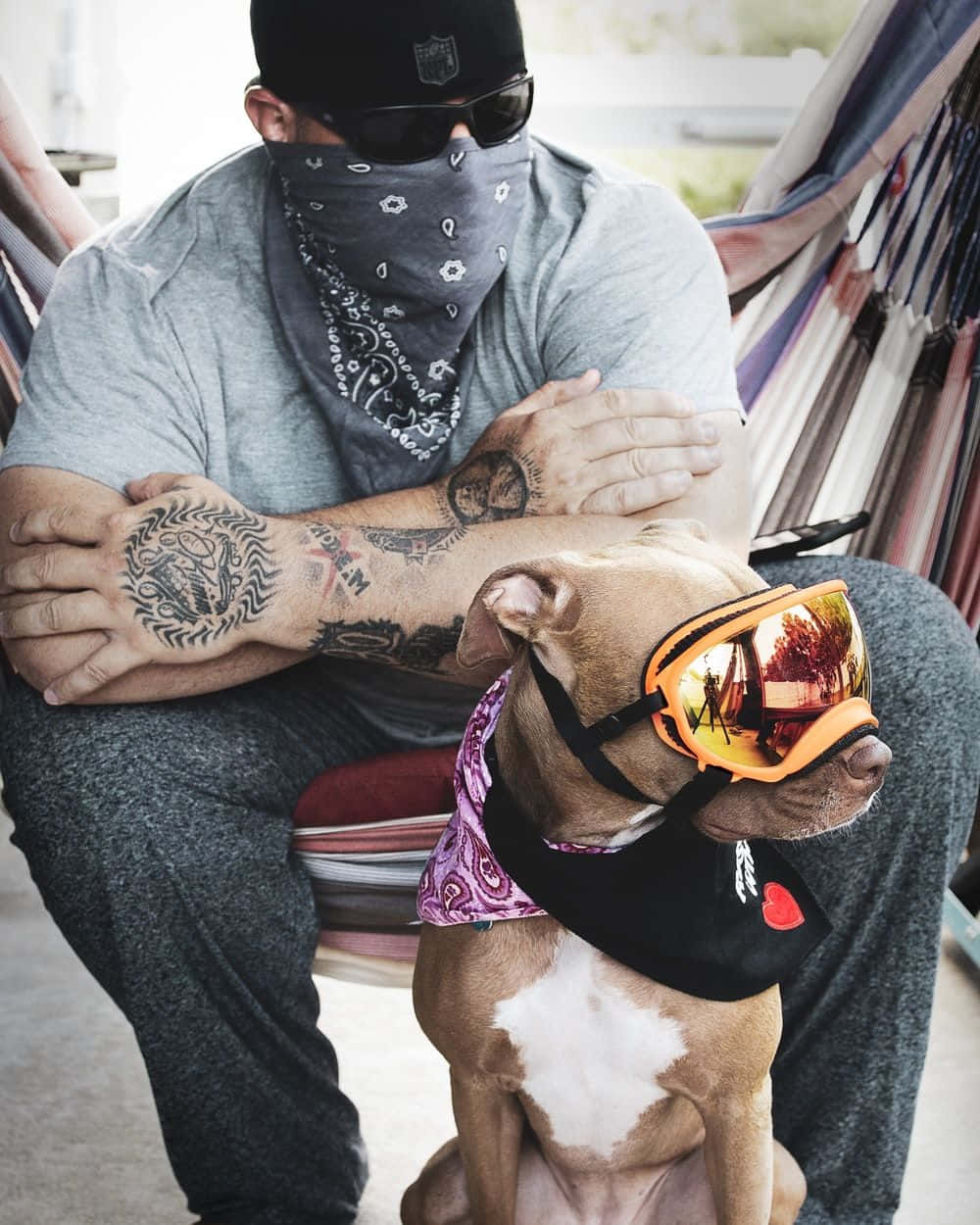 有紋身和太陽眼鏡的男人與戴護目鏡和頭巾的比特犬坐在吊床上。