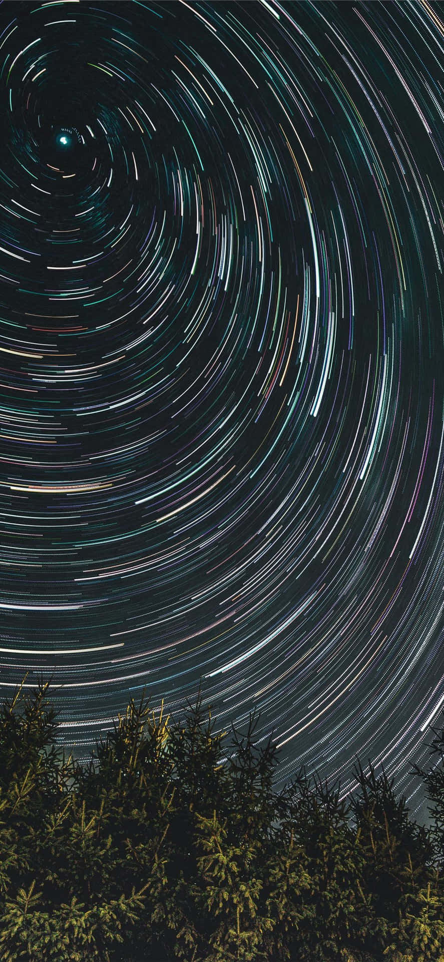 時間飛逝，別忘記休息 壁紙 — 星軌在漆黑的夜空中戲劇性地旋轉，映襯著松樹的剪影。