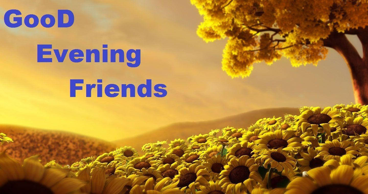 晚安向日葵 壁紙 — 金色的夕陽沐浴著向日葵田和一棵樹，溫暖的光線配上文字「晚上好，朋友們」。