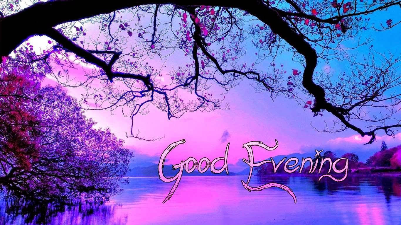 晚安紫調 壁紙 — 一個寧靜的黃昏湖景，被帶有粉紅色花朵的剪影樹枝框住，背景是充滿活力的紫色和藍色天空。