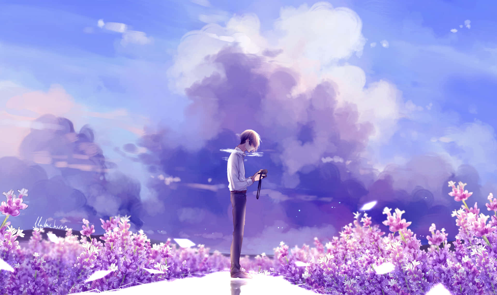 動漫男孩站在紫色花田，暮色天空