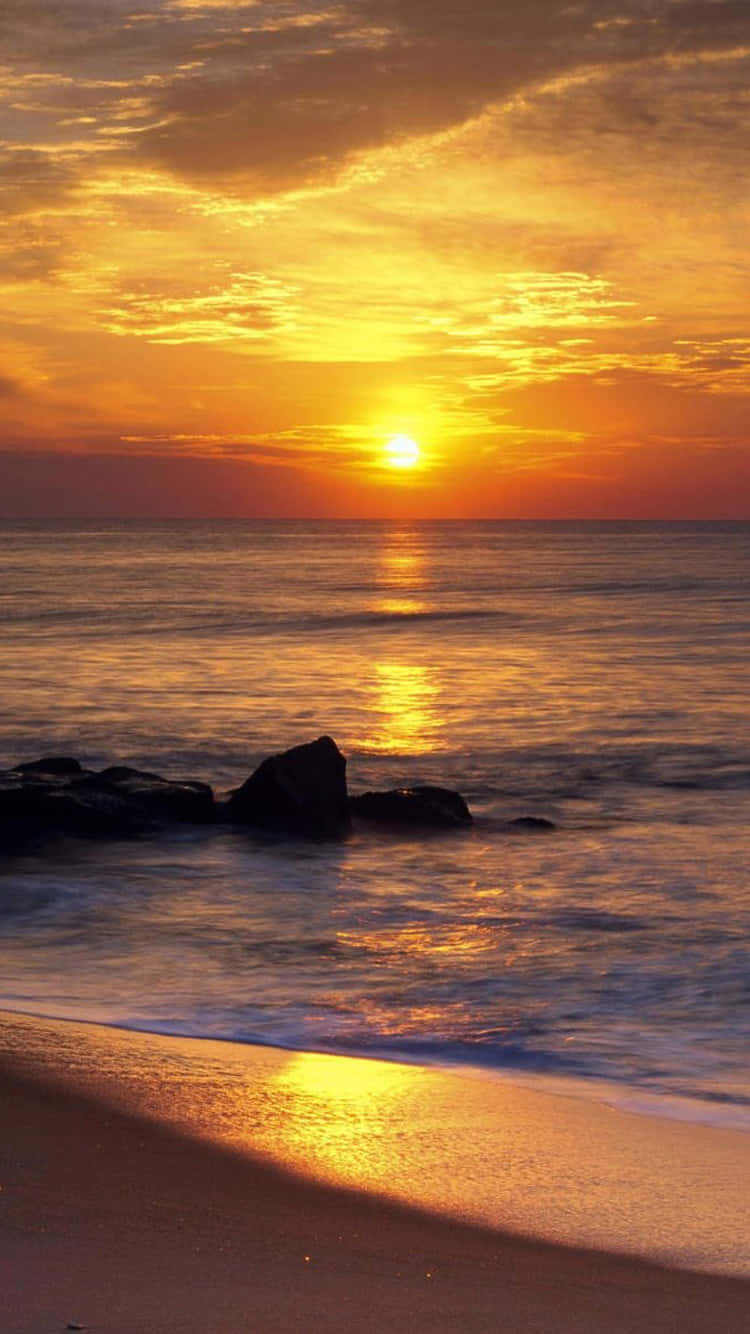 夕陽映照海洋，岩石與濕沙閃耀金光