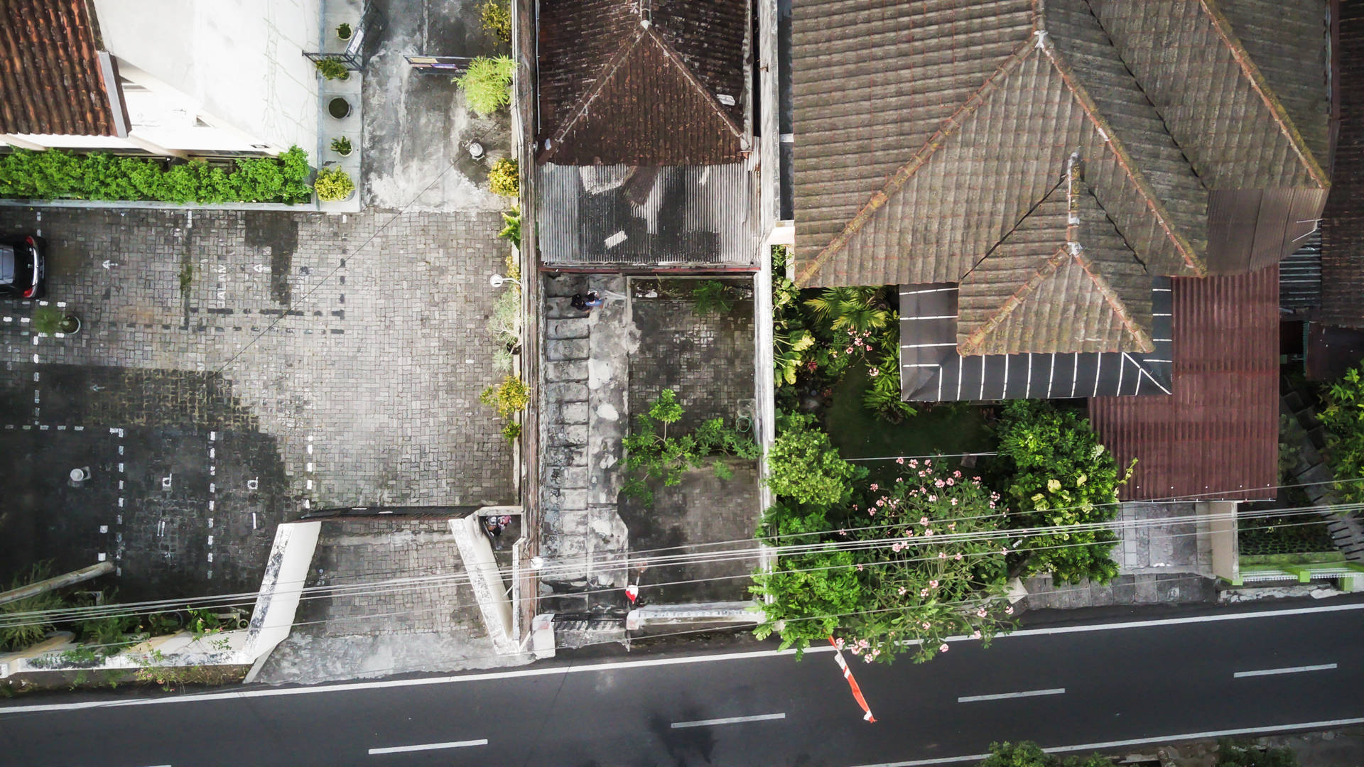 傳統瓦頂房屋與綠植沿街的俯視圖。