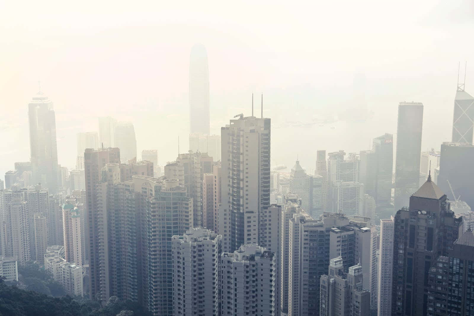 朦朧的城市景觀，高樓消失在霧中。