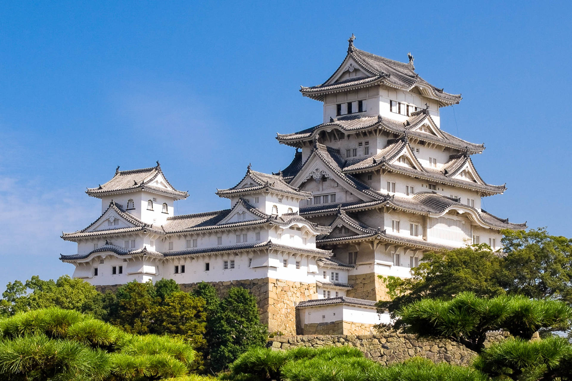 白色日本城堡，分層屋頂，周圍綠樹環繞，藍天之下。