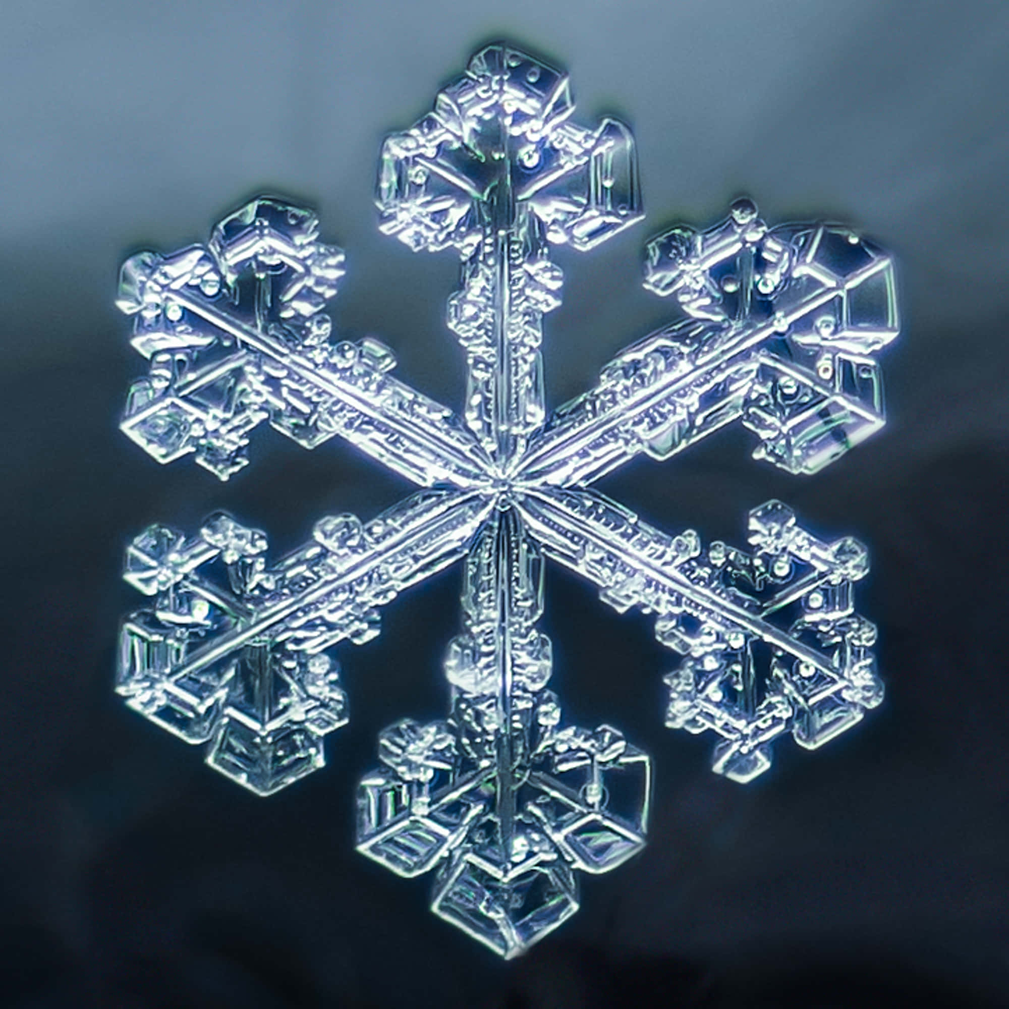 晶瑩剔透的雪花在光線中展現其精緻設計 壁紙 — 一片精緻的雪花，擁有六個對稱的臂，在深色漸變背景上閃耀。