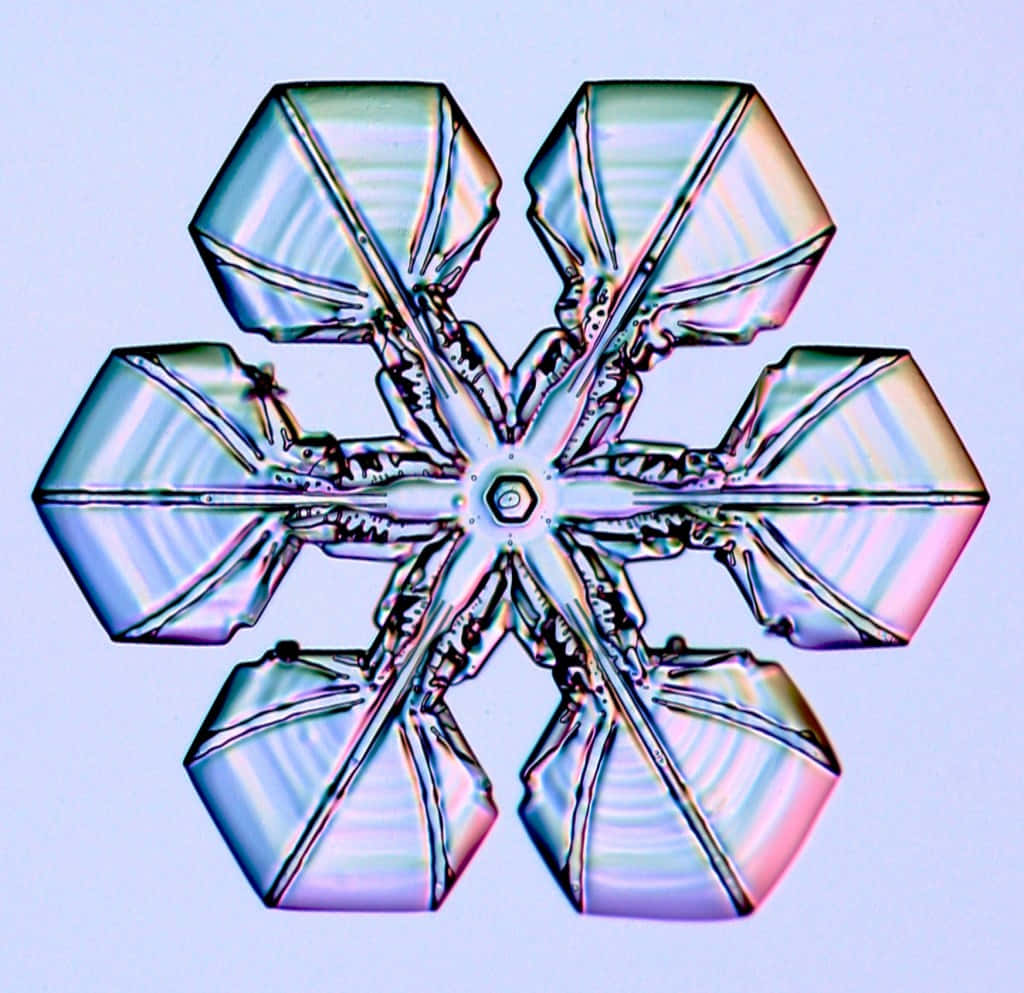 晶瑩剔透的雪花在陽光下閃耀 壁紙 — 一個在放大下呈現虹彩藍、粉紅和銀色調的驚人細緻六角形雪花。