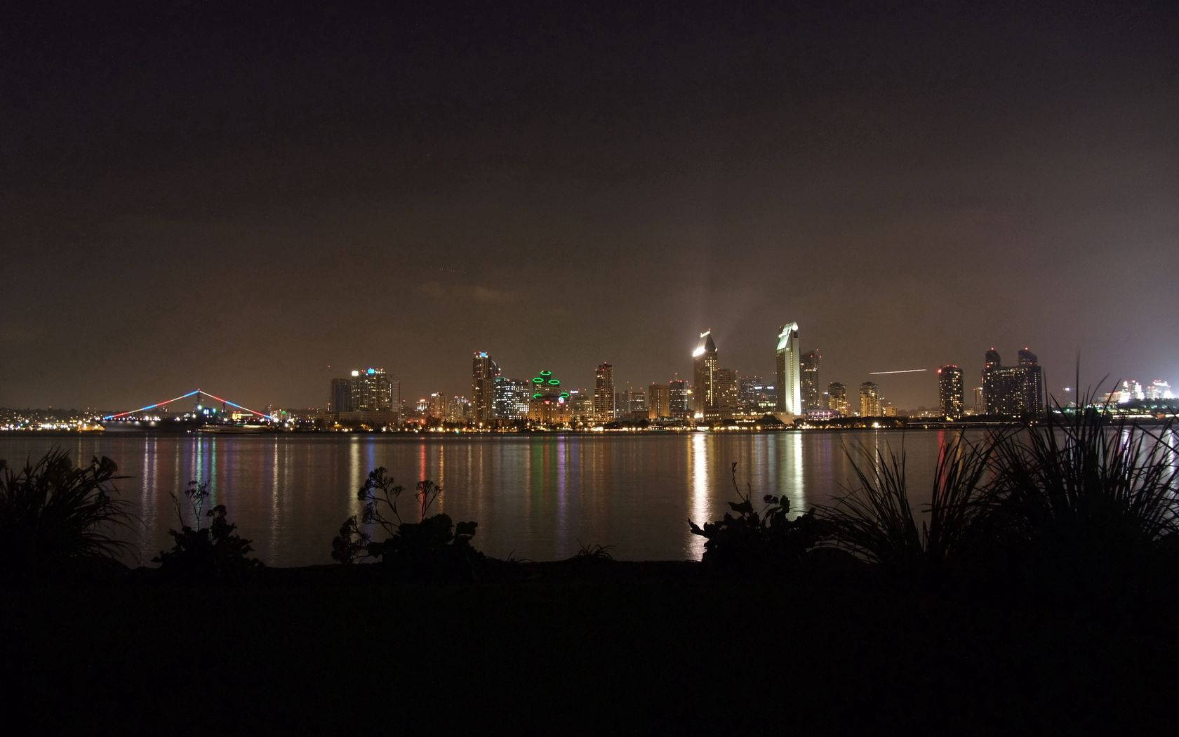 城市天際線的夜景，水面上有一座燈火通明的橋樑，前景有深色植物。
