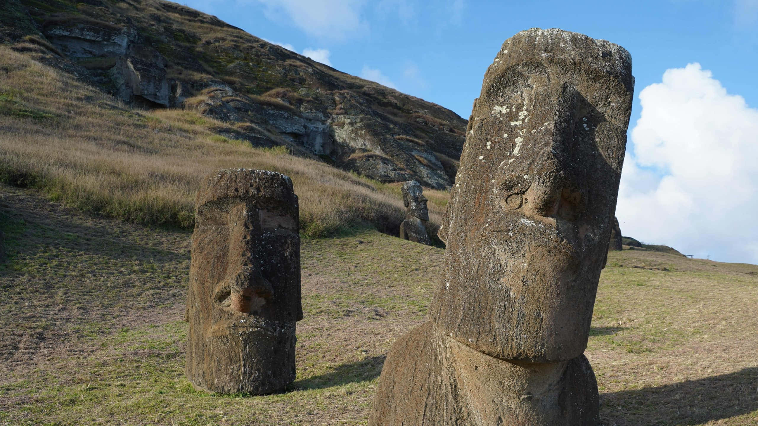 智利復活節島高聳的古代摩艾石像 壁紙 — 古代石像摩艾莊嚴地矗立在長滿草的山坡上，天空湛藍，白雲點點。