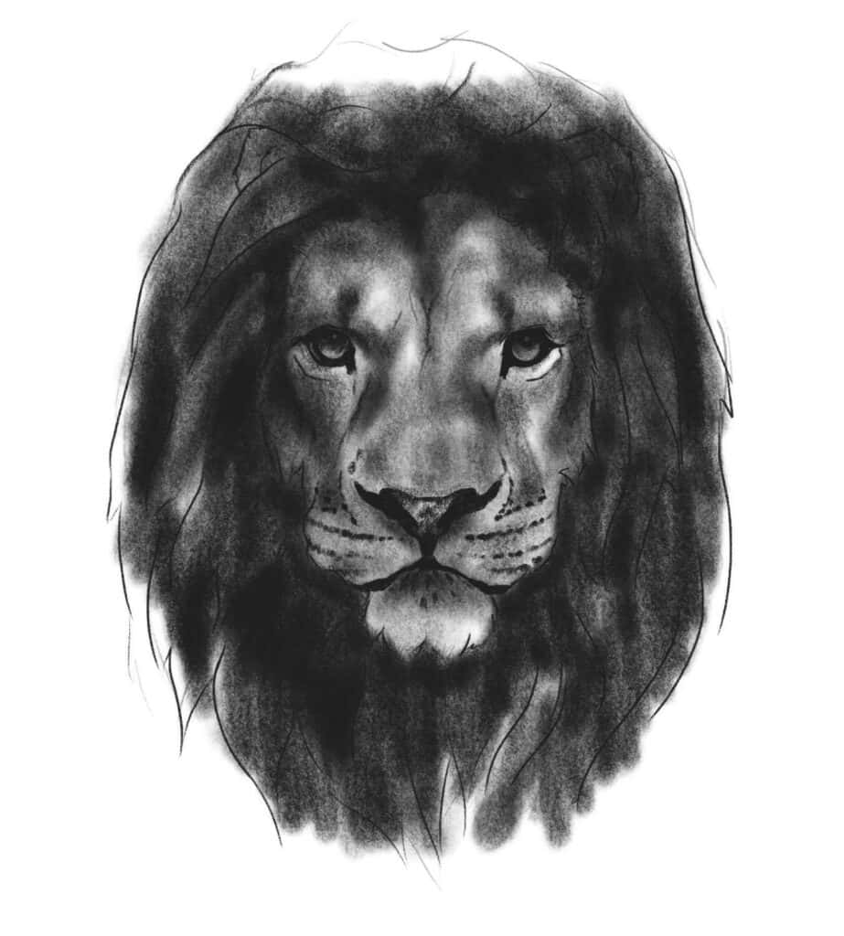 智慧而莊嚴的雄獅頭像 壁紙 — 以細緻木炭素描呈現的強力獅子頭部，帶有強烈眼神和紋理鬃毛。