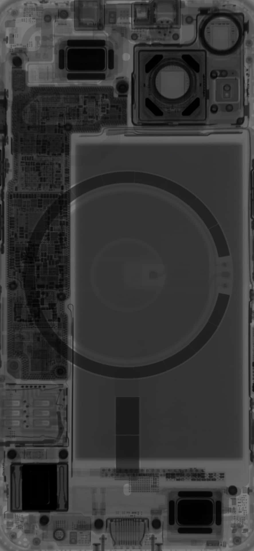 iPhone 13 Mini 桌布 壁紙 — 智能手機內部組件的X光視圖，以灰階顯示電路板、電池和相機模組。