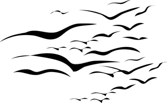 暗夜天幕 空白畫布