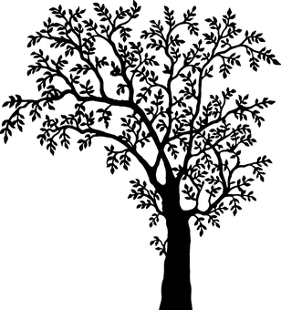 暗夜樹影 壁紙