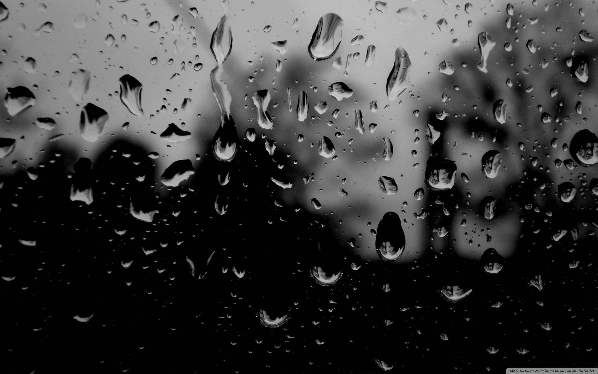 玻璃上的雨滴與灰色調中模糊的樹木剪影。