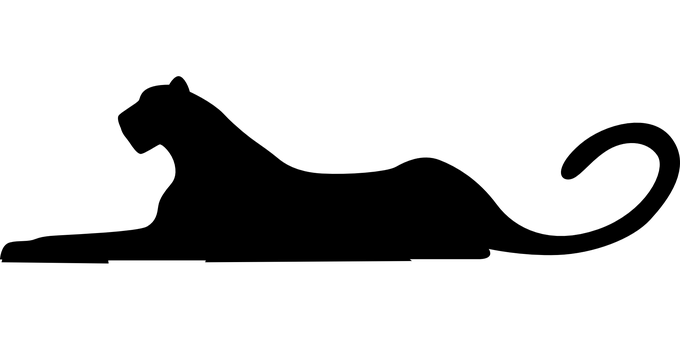 暗影中的豹 壁紙