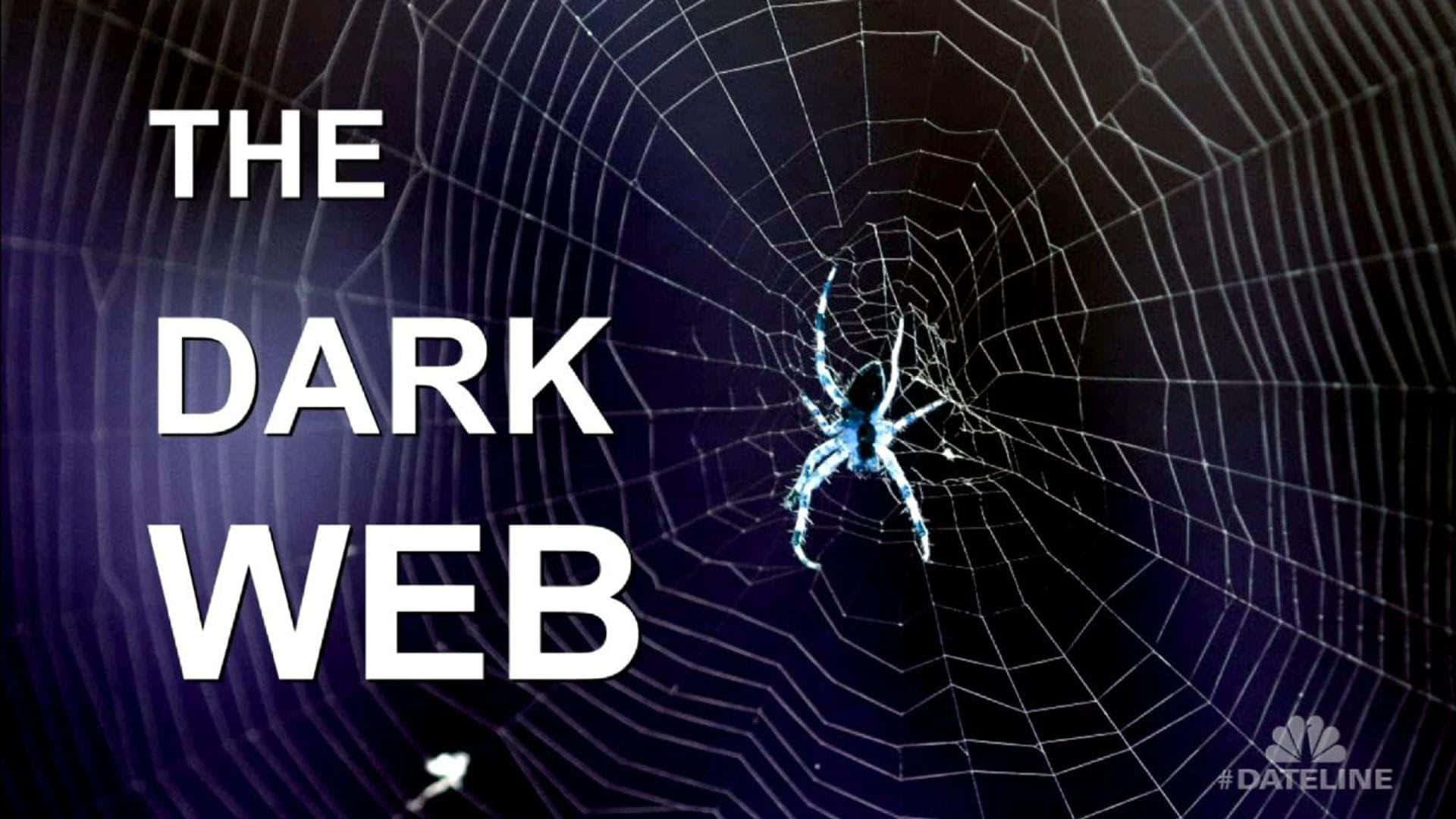 一隻發光的藍色蜘蛛在蜘蛛網中，背景是深紫色，並有文字「THE DARK WEB」。