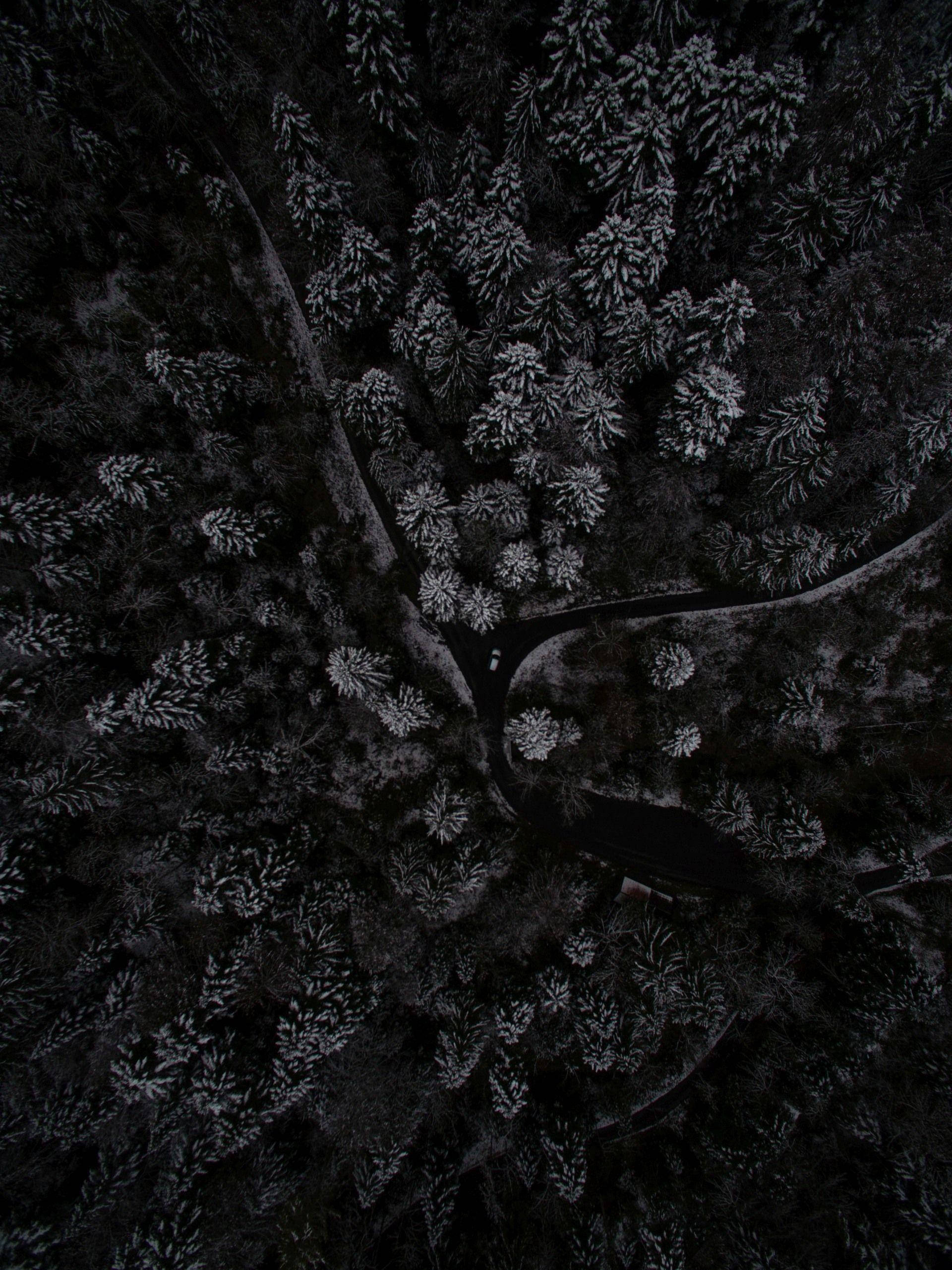 暗色手機森林俯瞰 壁紙 — 俯瞰一條蜿蜒的道路穿過茂密的雪林，一輛孤獨的汽車沿著道路行駛。