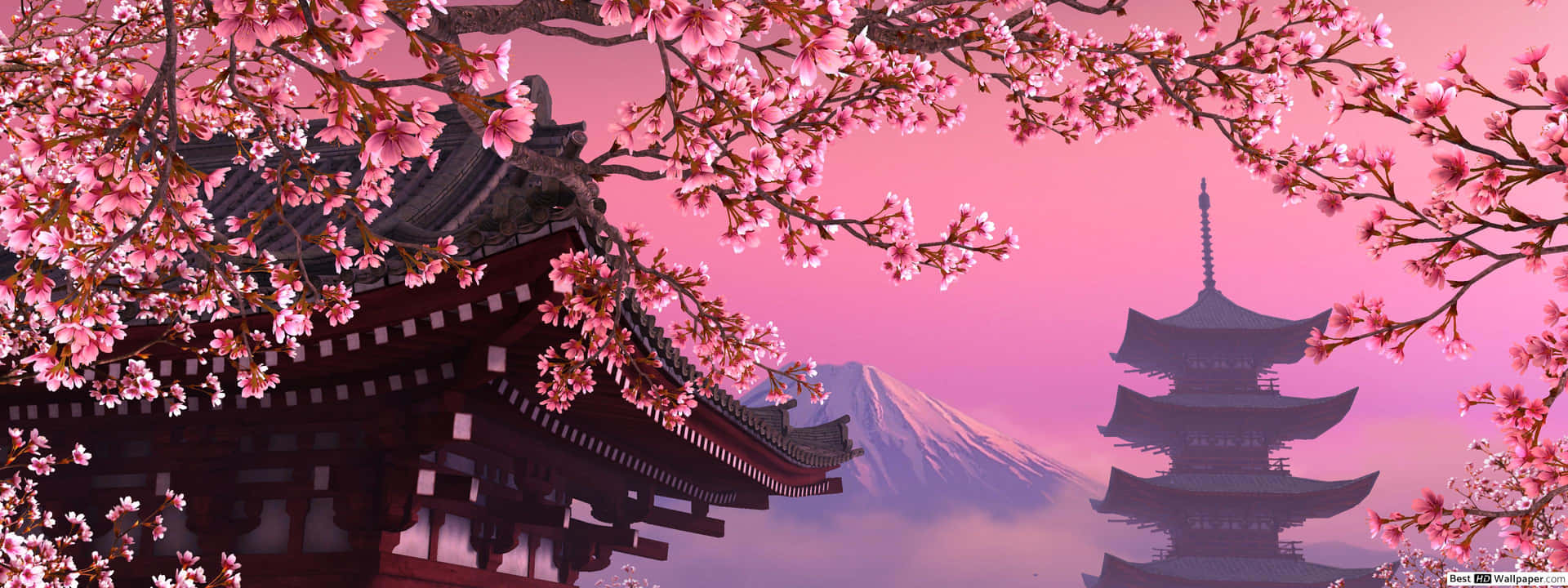 粉紅色的櫻花框住寺廟和寶塔，背景是富士山。