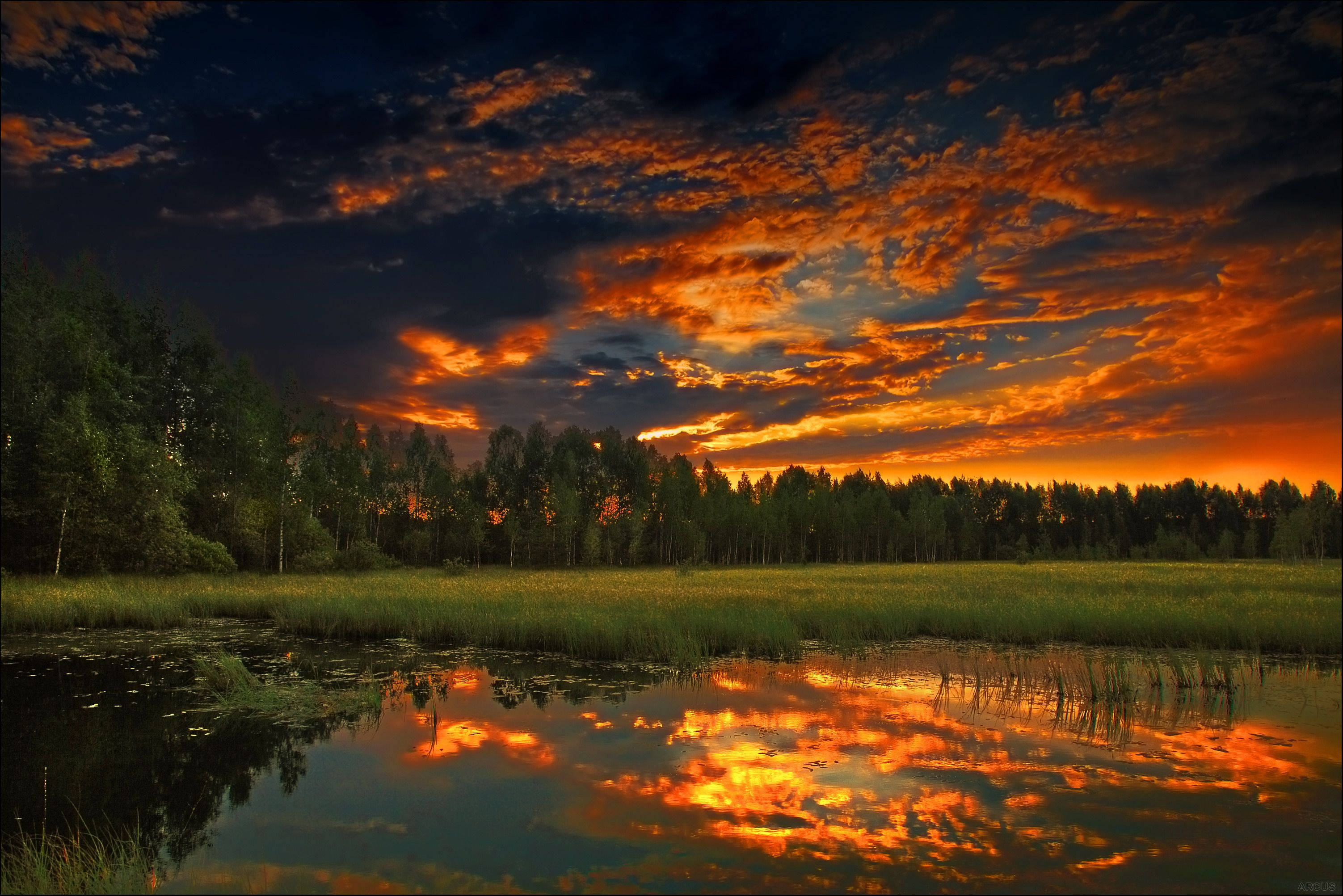 暗色田野風景 壁紙 — 熾熱的夕陽染紅了天空，並清晰地倒映在一個被草地和黑暗森林環繞的平靜池塘中。
