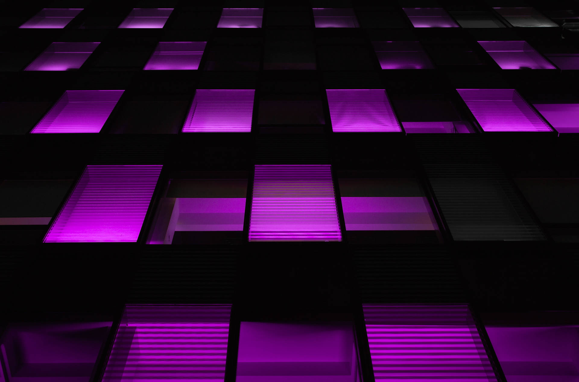 夜晚黑暗現代建築上的紫色發光窗戶。