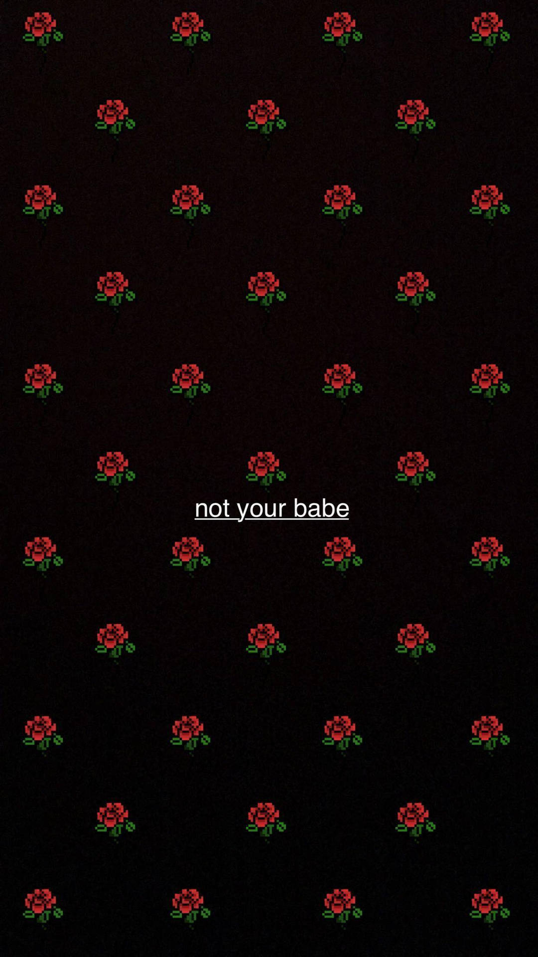黑色背景上的像素化紅玫瑰，文字 not your babe