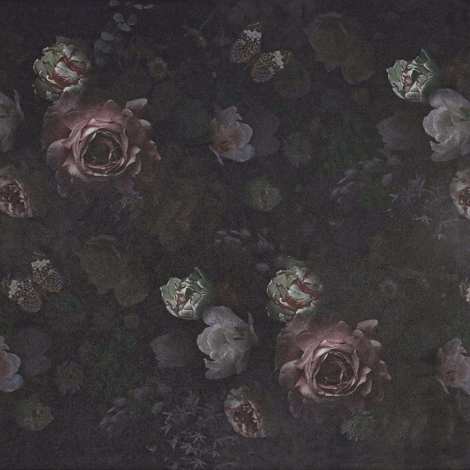暗黑花卉牆紙，柔和色調的玫瑰與蝴蝶。 — 深色花卉 壁紙
