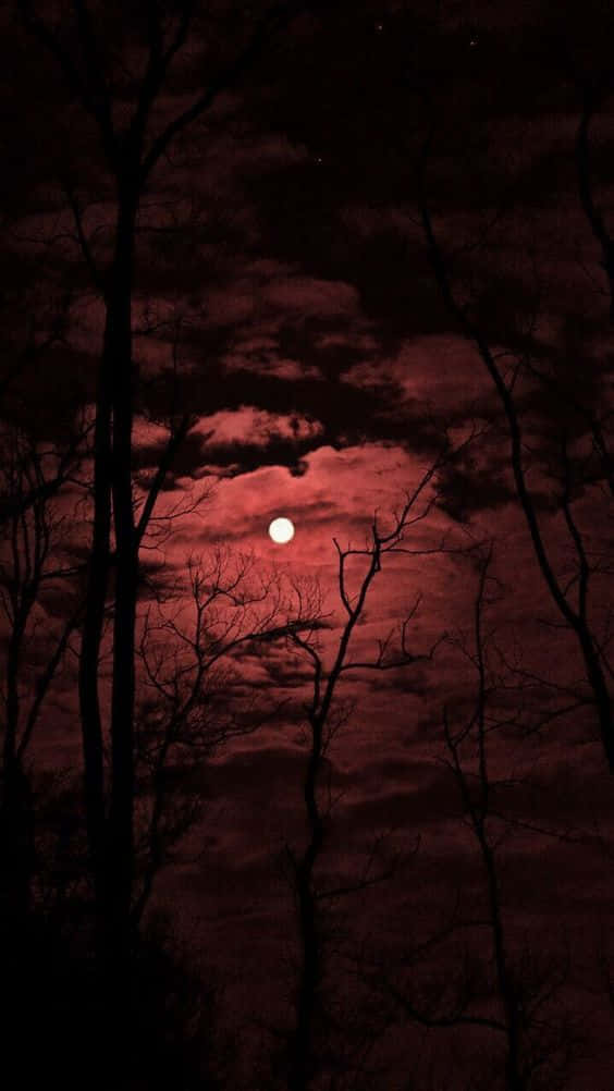 暴風雨夜空中，血紅色的月亮在光禿樹木剪影後方。
