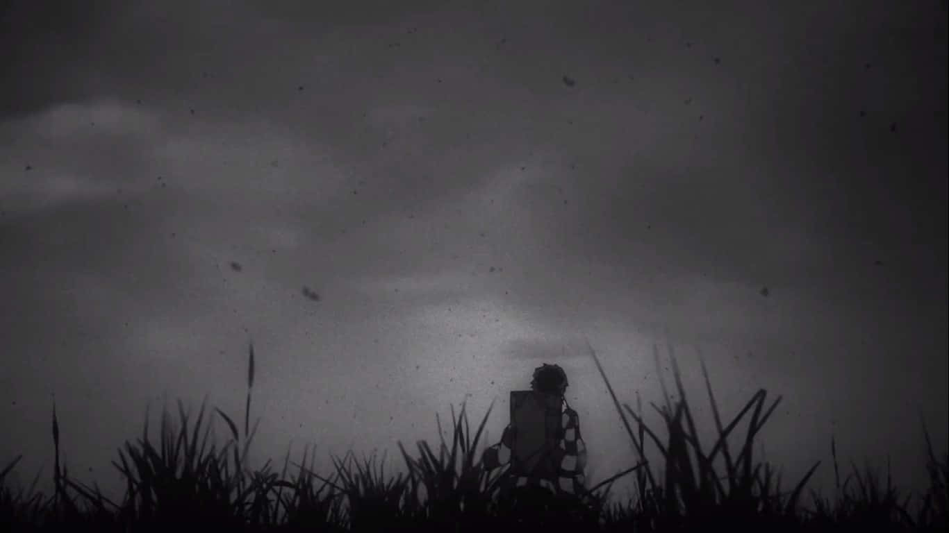 持盾剪影人物，暴風雨田野