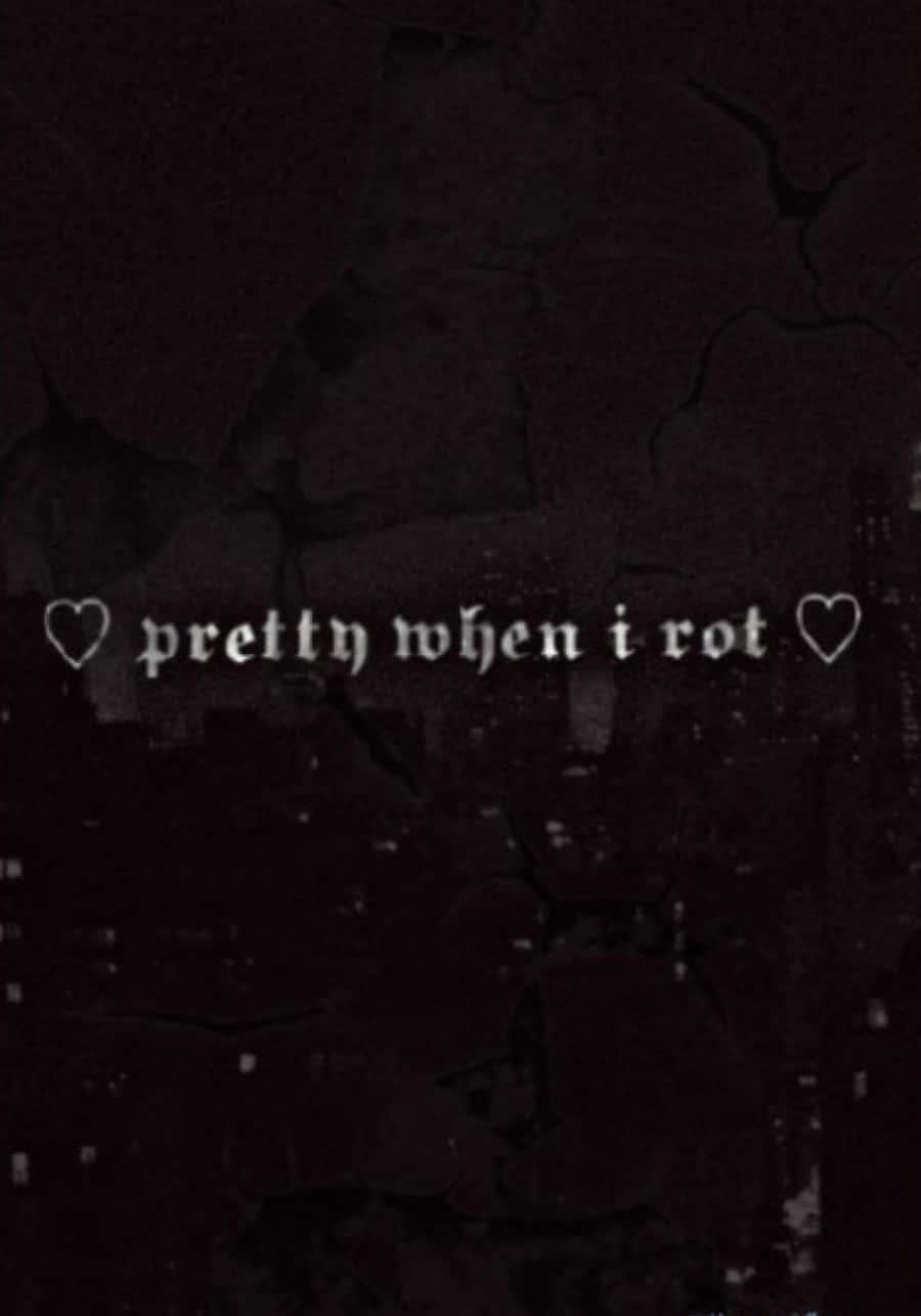 黑暗裂縫牆壁，白色文字寫著 pretty when i rot。
