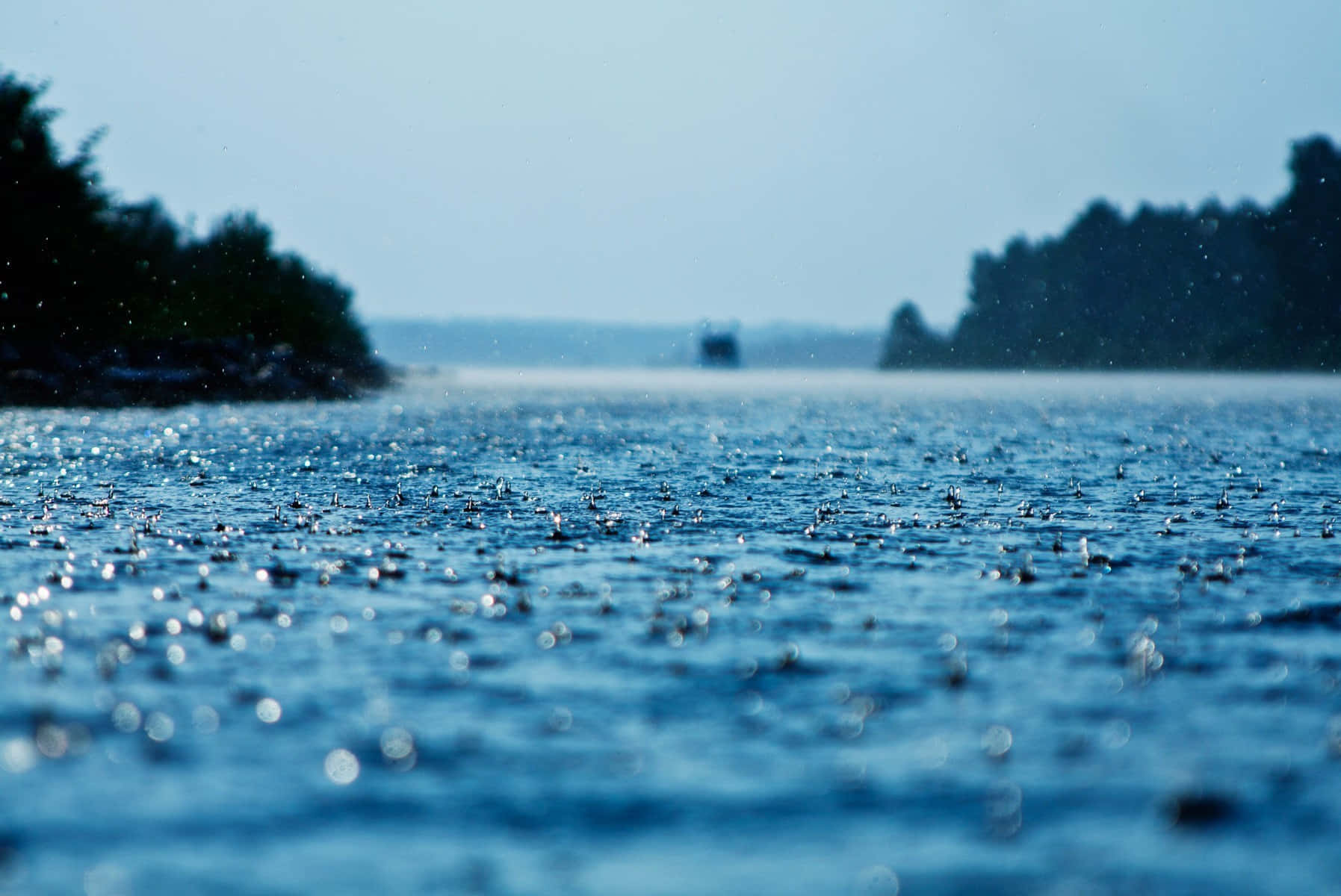 暫時放鬆，享受清澈蔚藍海面的寧靜 壁紙 — 雨滴在平靜的藍色湖面上閃爍，遠處有樹木成蔭的湖岸，天空朦朧。