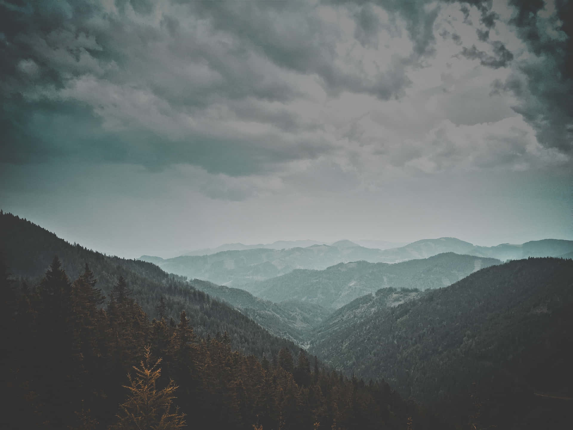 黑暗的暴風雲籠罩著一個被常綠樹木覆蓋的迷霧山谷。