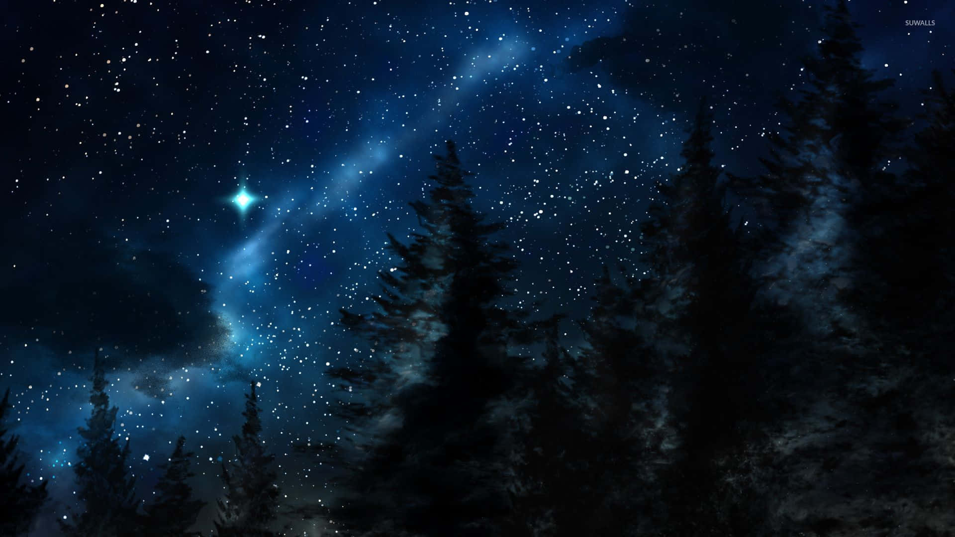 松樹在星光熠熠的夜空和發光的藍色星雲襯托下形成剪影。