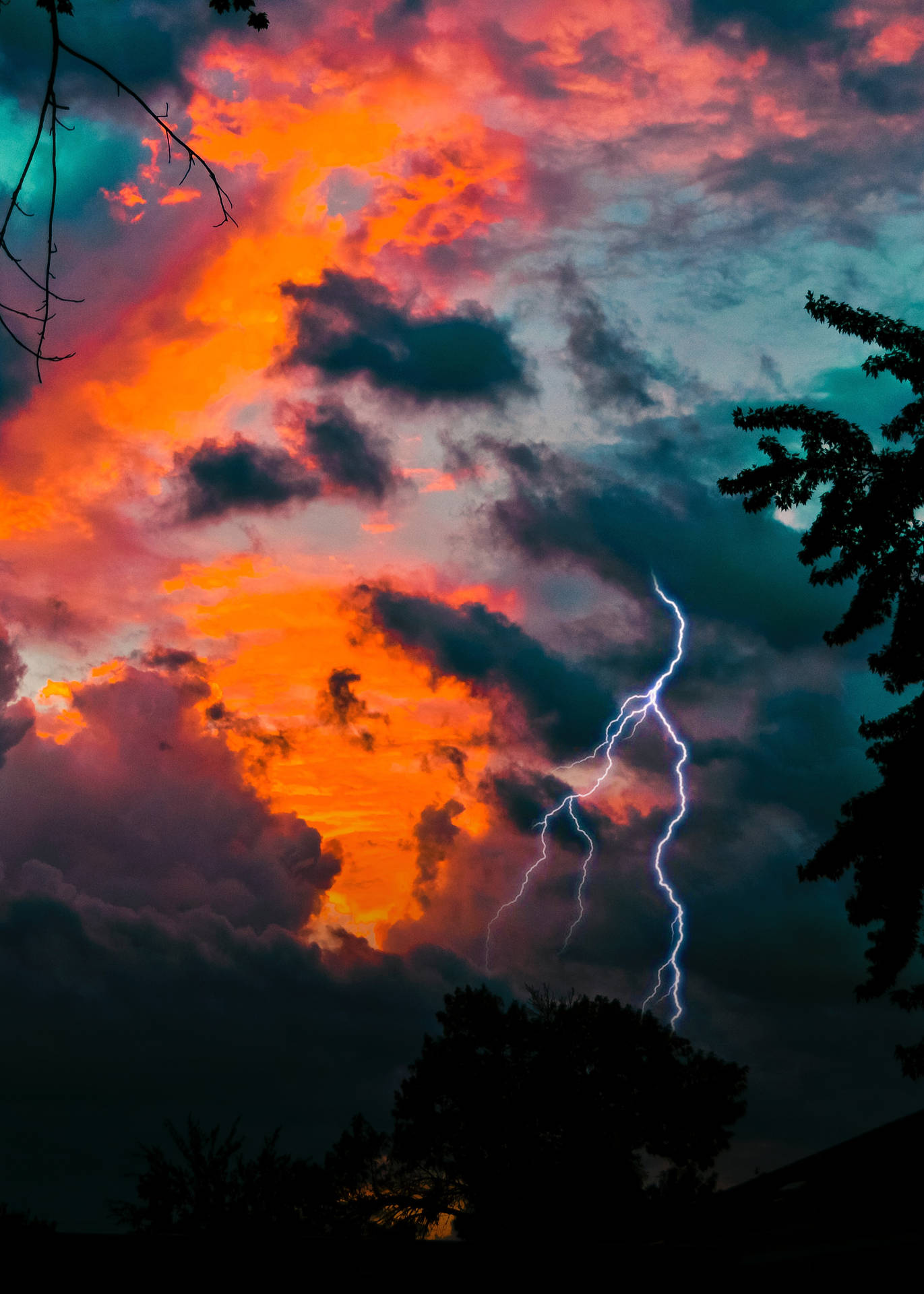 一道強大的閃電照亮了被樹影框住的多彩暴風雨天空。