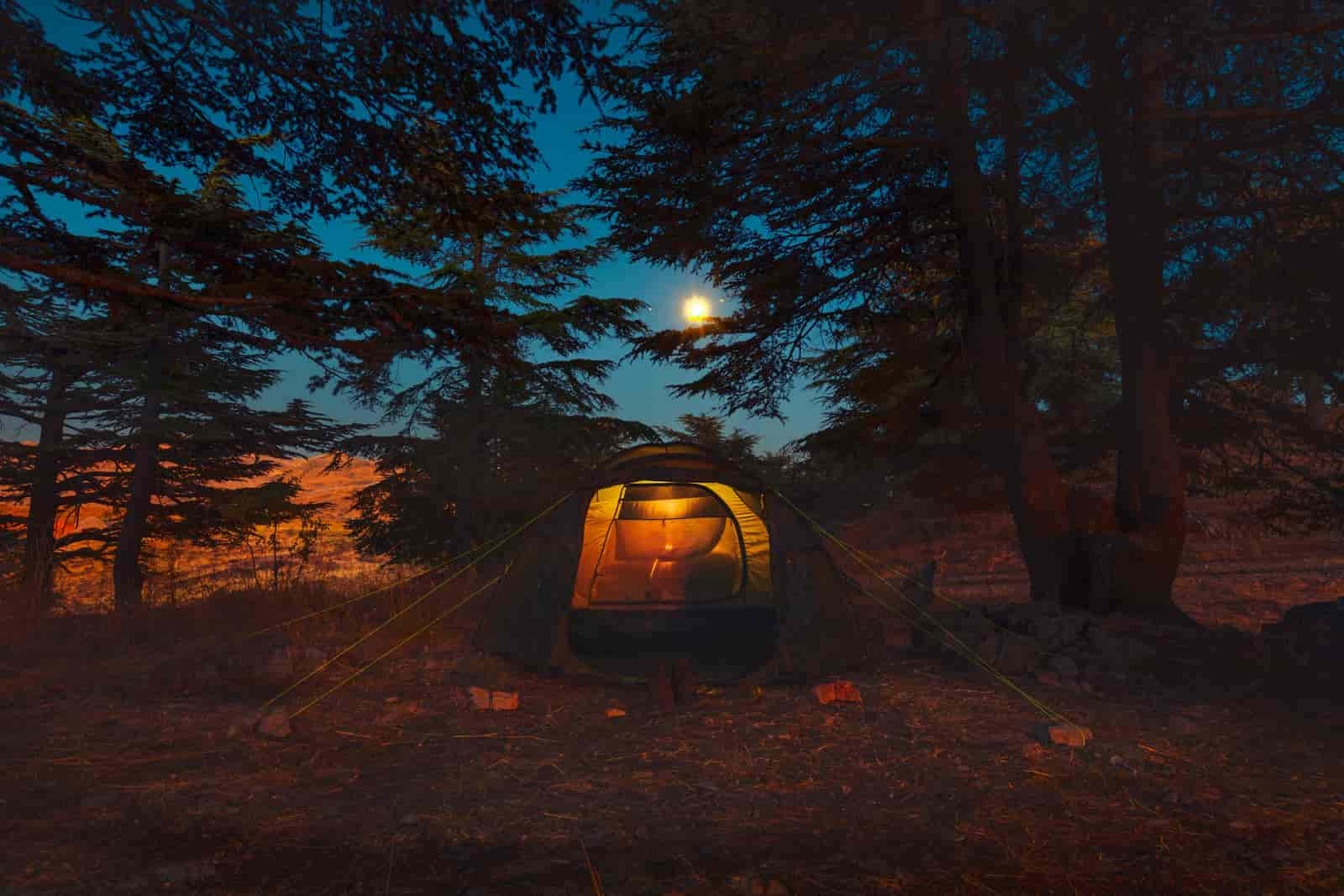 Beach Camping 桌布 壁紙 — 暮色森林中一頂發光的帳篷，上方有明亮的月亮，溫暖的室內燈光營造出舒適的氛圍。