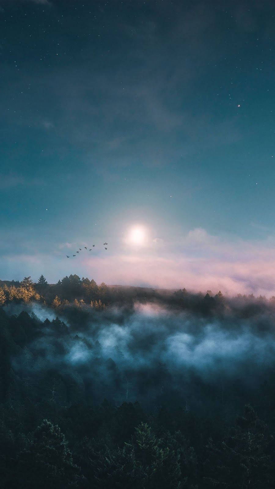 月光照耀的森林山谷，霧氣瀰漫，鳥群在星空下飛翔。
