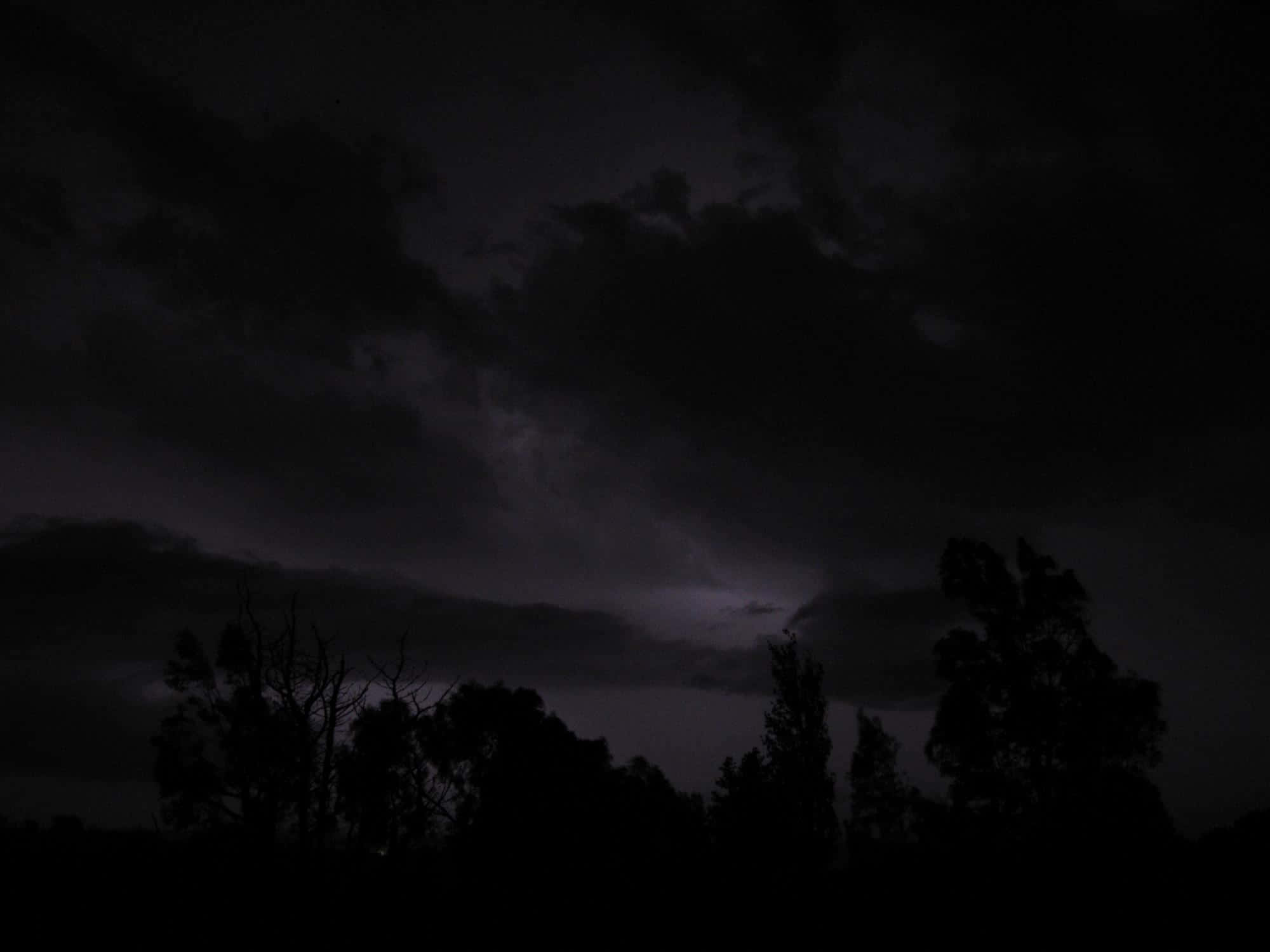 暴風雨之夜的寧靜與平和 壁紙 — 暗黑風暴雲籠罩著剪影樹木，夜空中有微弱的紫色閃電光芒。