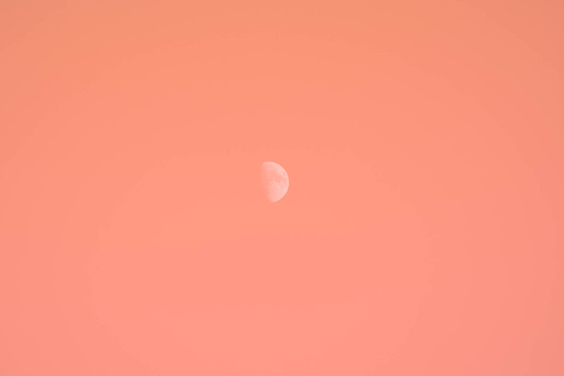 桃色天空中的月牙