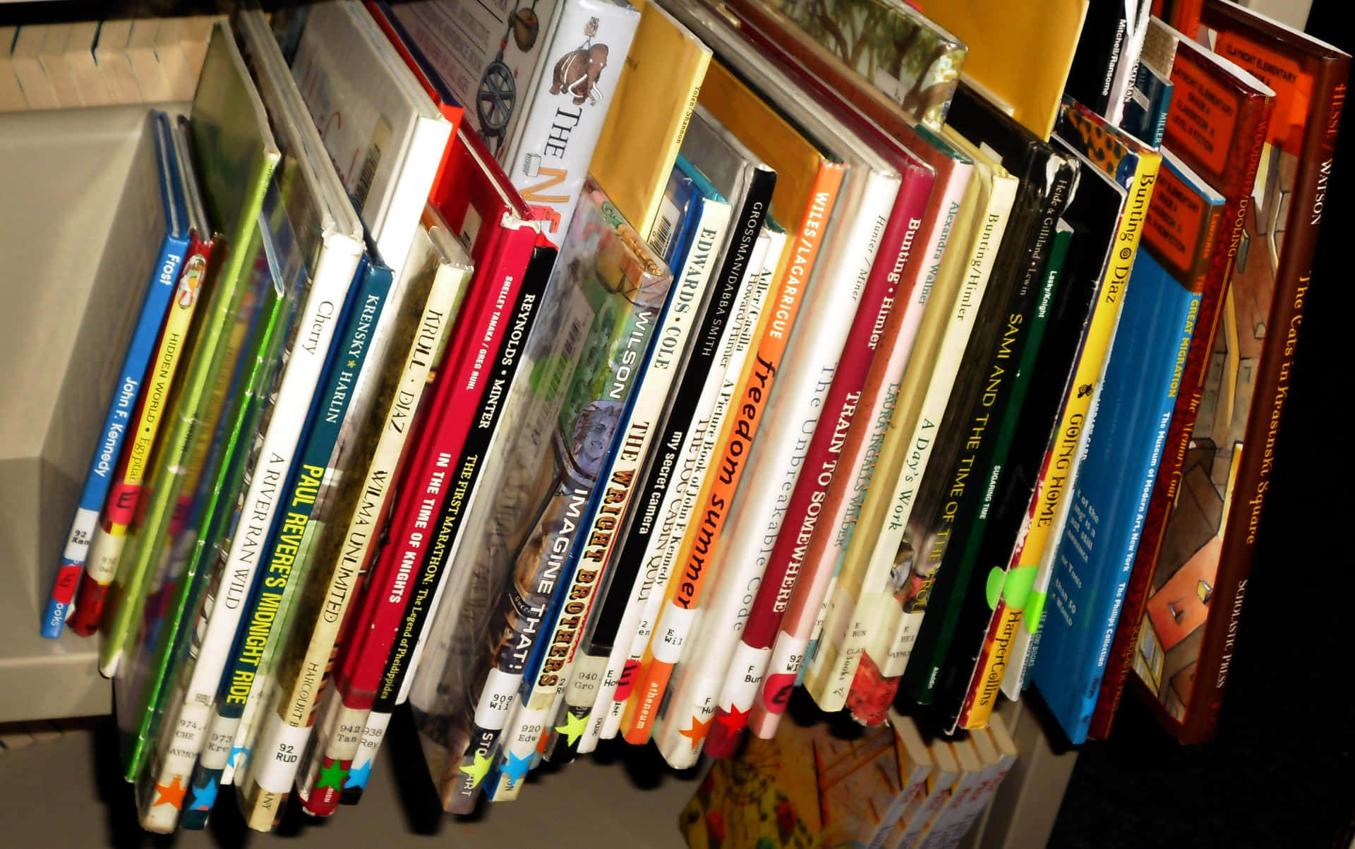 一排多彩書籍直立於木質書架上，書名清晰可見。
