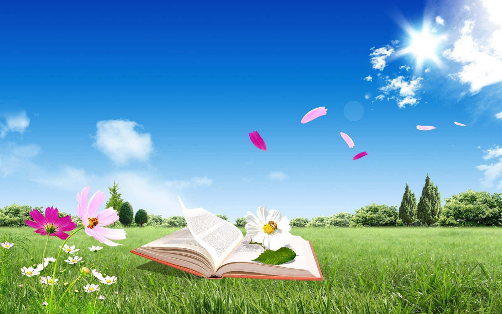 草地上打開的書，有花朵和飄浮的花瓣，在晴朗的天空下。