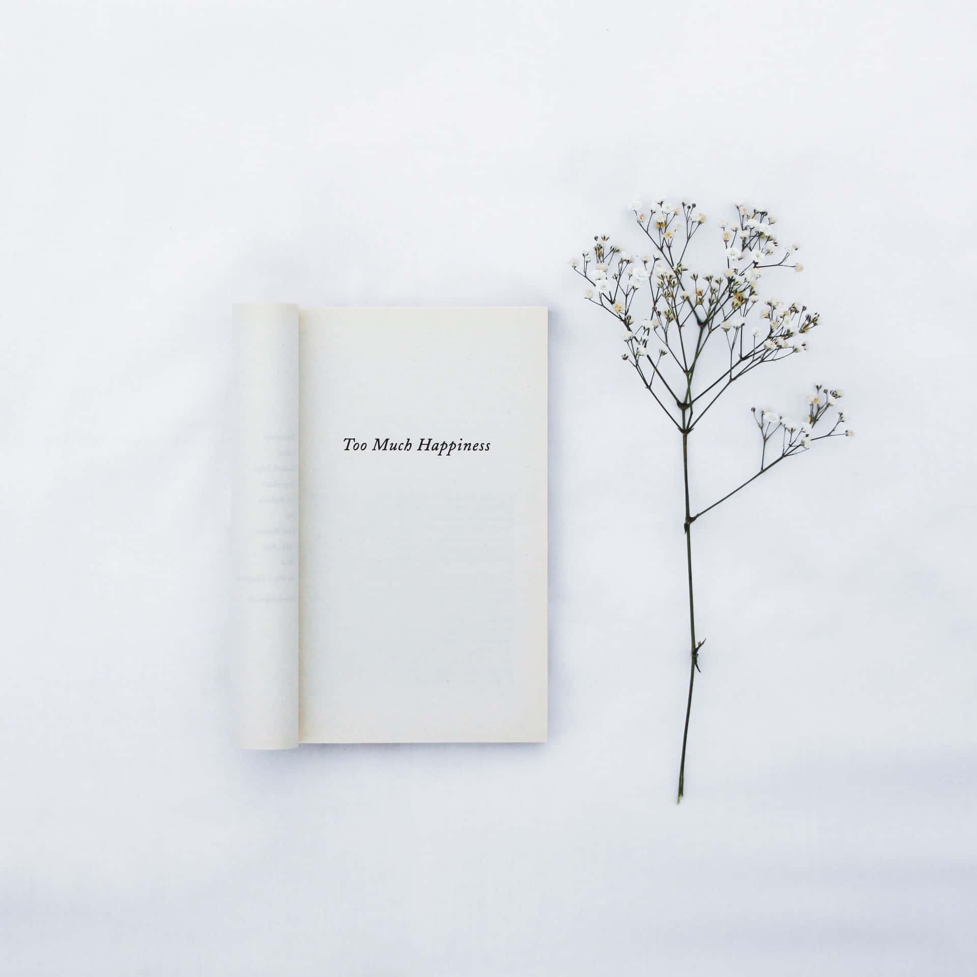 打開的書，書名《Too Much Happiness》，旁邊有乾花枝，白色背景。
