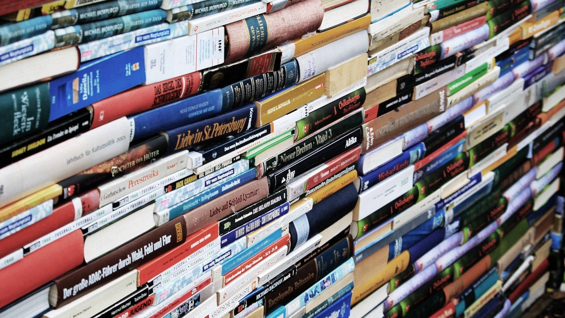 一面被緊密堆疊的彩色書脊朝外的書本覆蓋的牆。