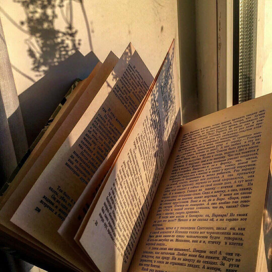 打開的書本，帶有俄文文字，沐浴在陽光和樹影中。