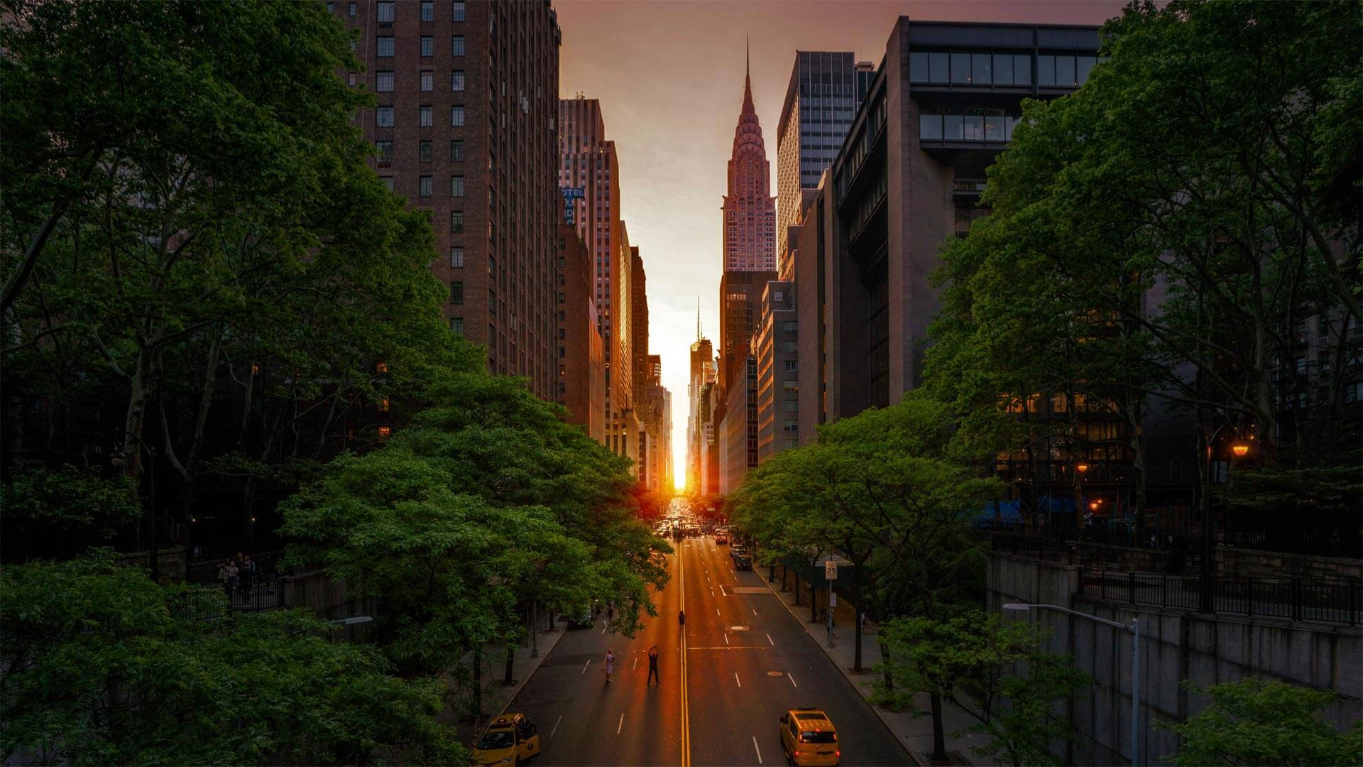 紐約市天際線的夕陽，大道上有樹木和黃色的士