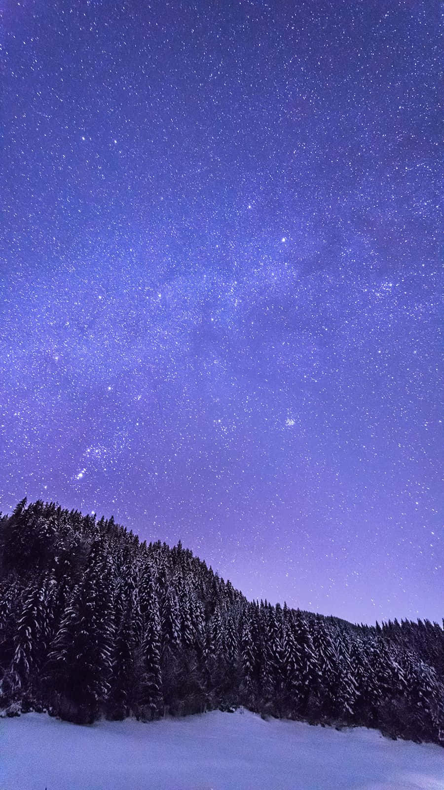 在可見銀河的星空紫色夜空下的雪林。