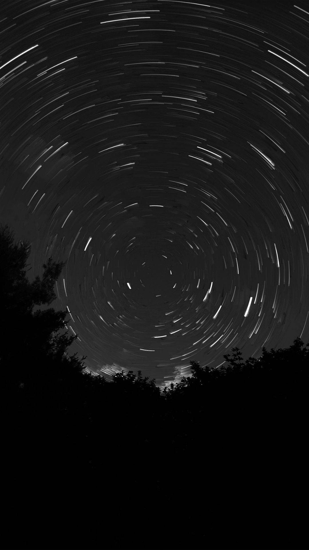 最佳暗夜圓形星空 壁紙 — 星軌在樹影襯托的漆黑夜空中盤旋成迷人的螺旋。