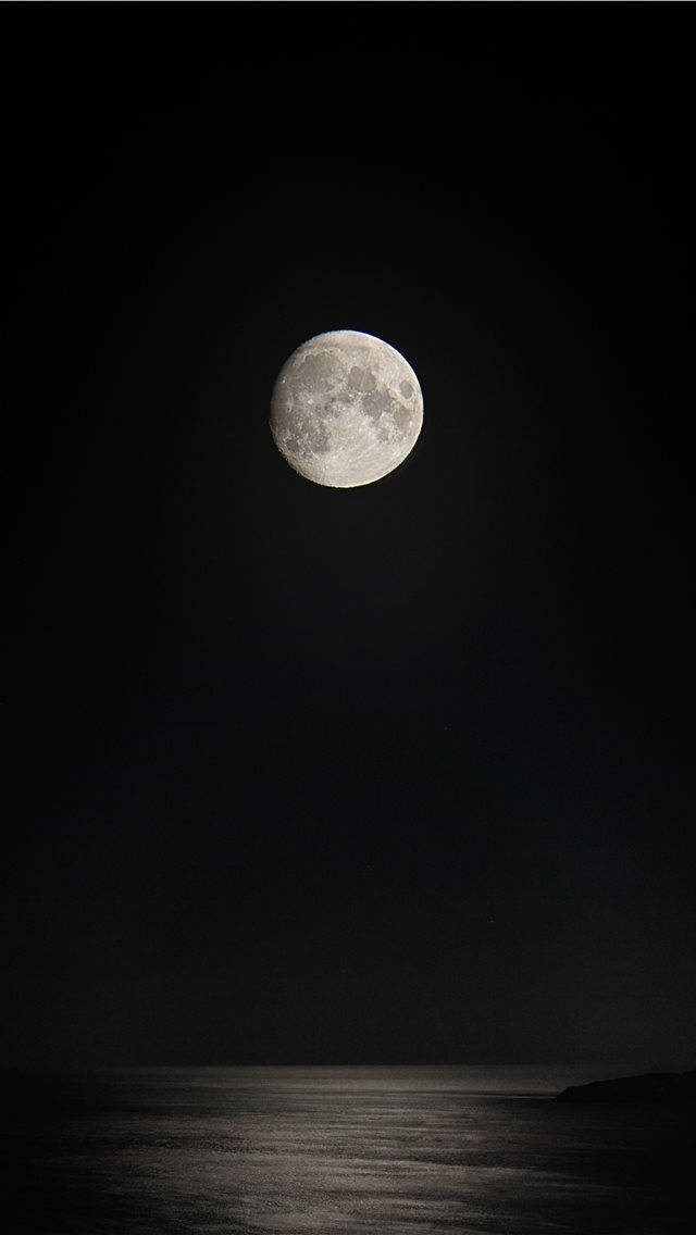 滿月映照在夜晚平靜的海面上。