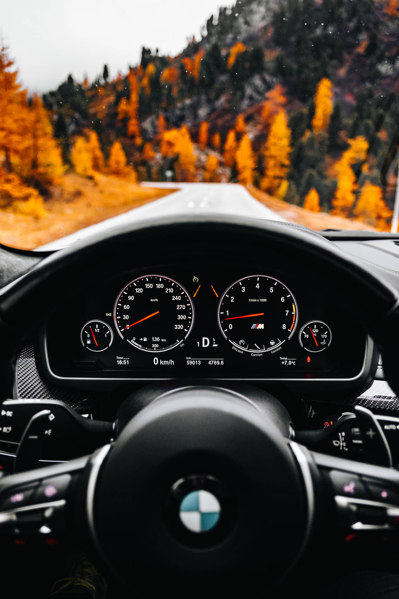 BMW 汽車儀表板面向風景如畫的秋林道路，遠處有山脈。