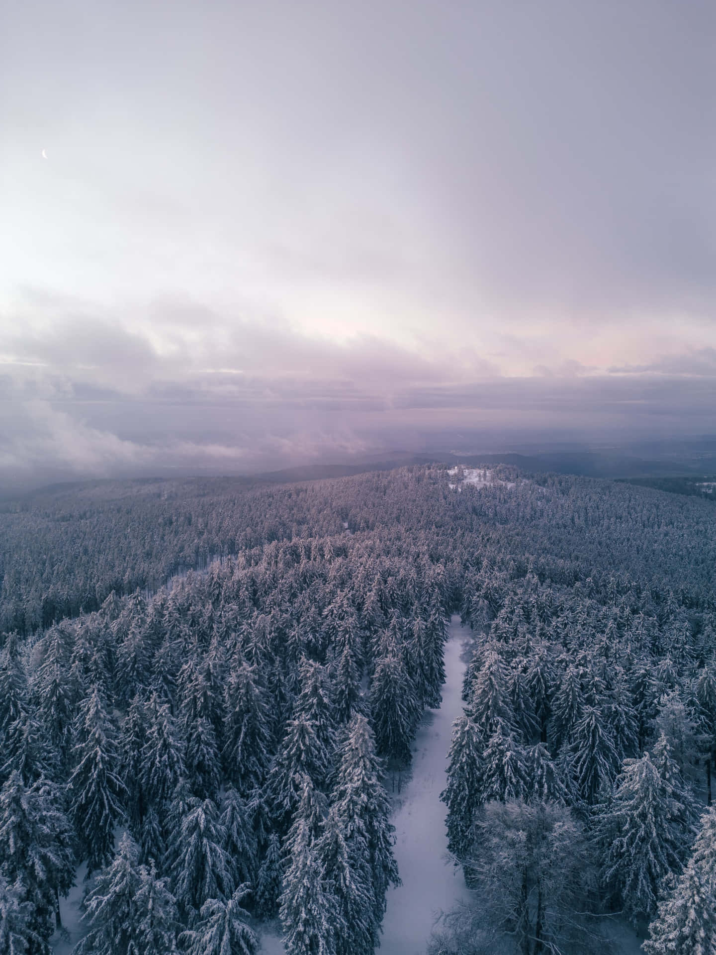 暮色中蜿蜒穿過松樹的積雪森林小徑。