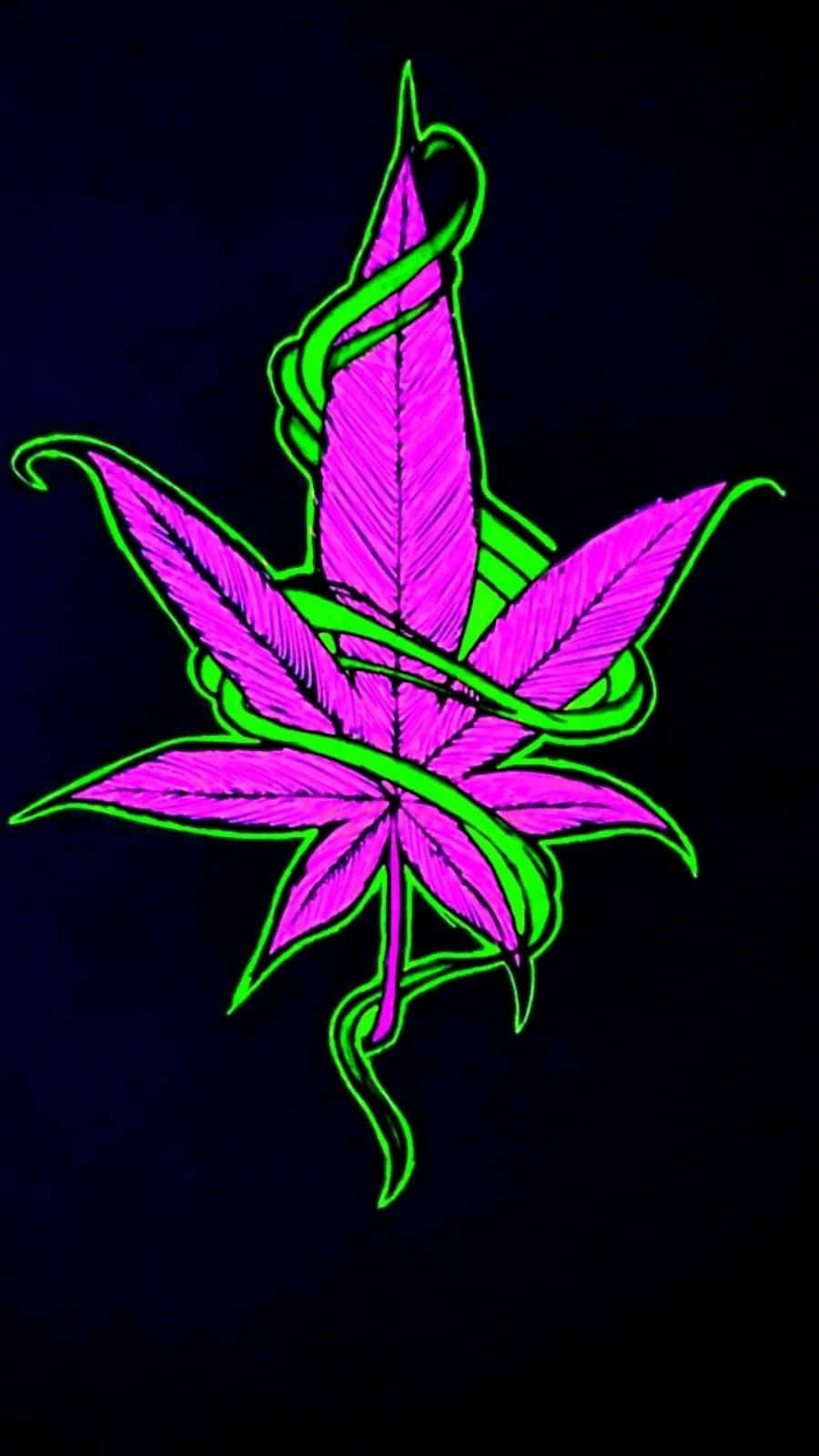 霓虹粉紅色大麻葉，帶有綠色藤蔓在黑色背景上發光。