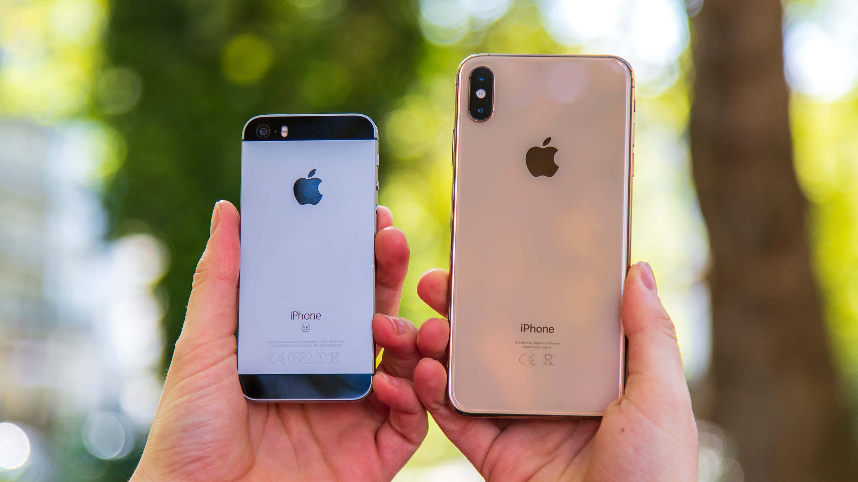 最新款 Apple 手機 壁紙 — 兩隻手並排拿著一部iPhone 5s和一部iPhone X，背景是陽光照射的綠色散景。